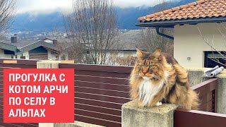 A walk with Archie the cat through an alpine village