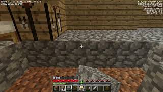messing around in minecraft - #1