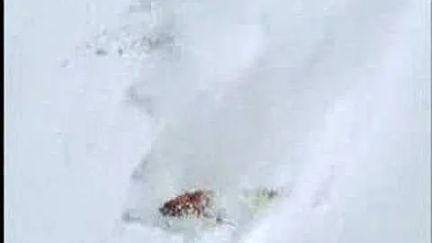 Focused by MSP - Skier Crashes