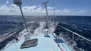 Sailing across the Pacific Ocean  Day 11