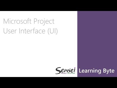 Sensei Learning Bytes - Microsoft User Interface