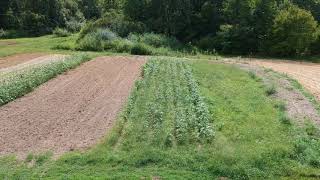 Lick Log Farm