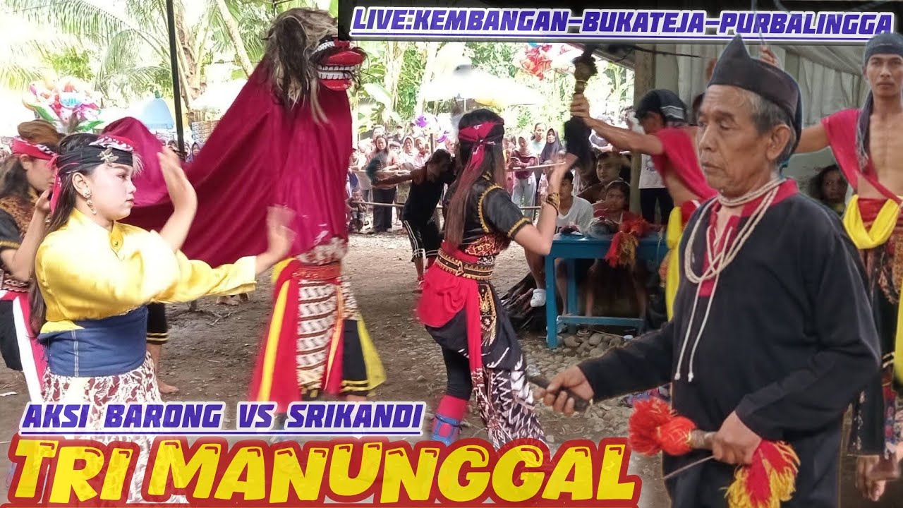 Janturan barong ebeg banyumasan TRI MANUNGGGAL//kembangan-bukateja-purbalingga