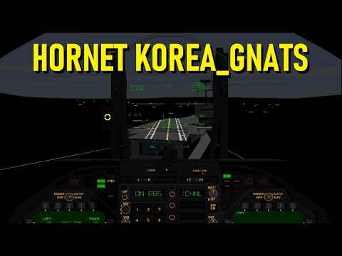 F/A-18 Hornet Korea - Gnats