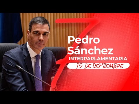 Pedro Sánchez en la reunión interparlamentaria del PSOE