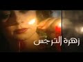 شارة مسلسل زهرة النرجس سنرجع يوما إلى حيينا فرقة أرابيسك 