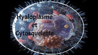 HYALOPLASME ET CYTOSQUELETTE