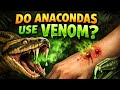 Do anacondas use their venom?