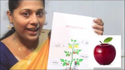 Std 5 Basic Science Unit 1 Class 01 White Board ID