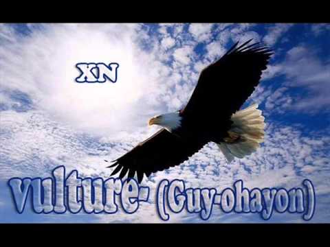 Video: Vulturile Coboară Parapanta Rusă [VID] - Rețeaua Matador