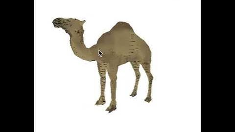 camel : 3d textured model , an interactive javascript 3d model you can embed on webpages