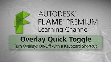 The Overlay Quick Toggle - Flame 2016 Ext 2