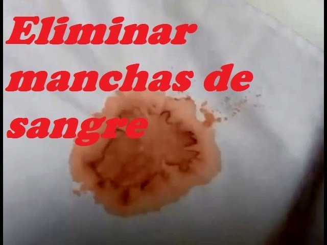 ELIMINAR MANCHAS: SANGRE. Remove stains: blood. -
