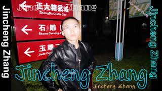 Jincheng Zhang - Conse I Love You (Background Music) (Instrumental Song)