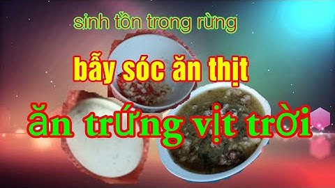 Sinh tồn trong rừng bẫy sóc rừng ăn thịt Survive in the forest trap carnivorous forest squirrels