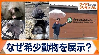 草木と小さな動物 小さな生き物[デラックスエディション][SHM-CD + 2DVD] [SHM-CD][CD