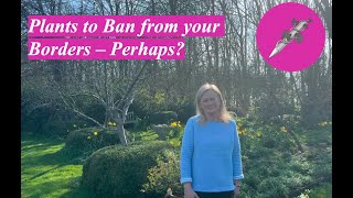 Plants to Ban from your Borders – Perhaps?