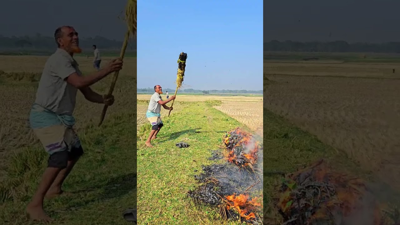 দুষ্ট পোলাপানদের দুষ্টামি দেখুন  🤣🤣