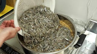 数千匹の小魚を１リットルの醤油で1時間炊いてみた。