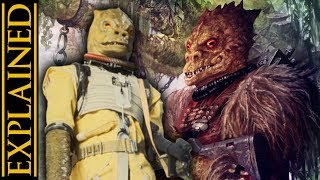 Trandoshan Species Biology, Society, And History