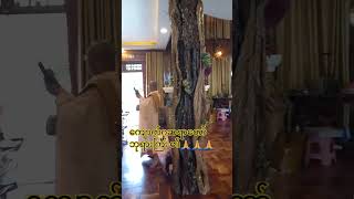 ဆရာတော် ဘုရားကြီး၏ကျောင်းဆောင် #youtube #fpy #views #copy #myanmarrevolution #website #shorts