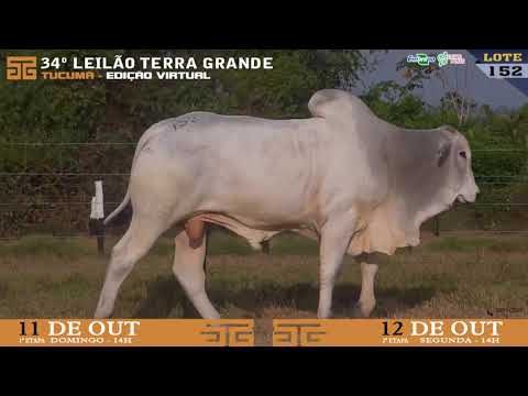 LOTE 152