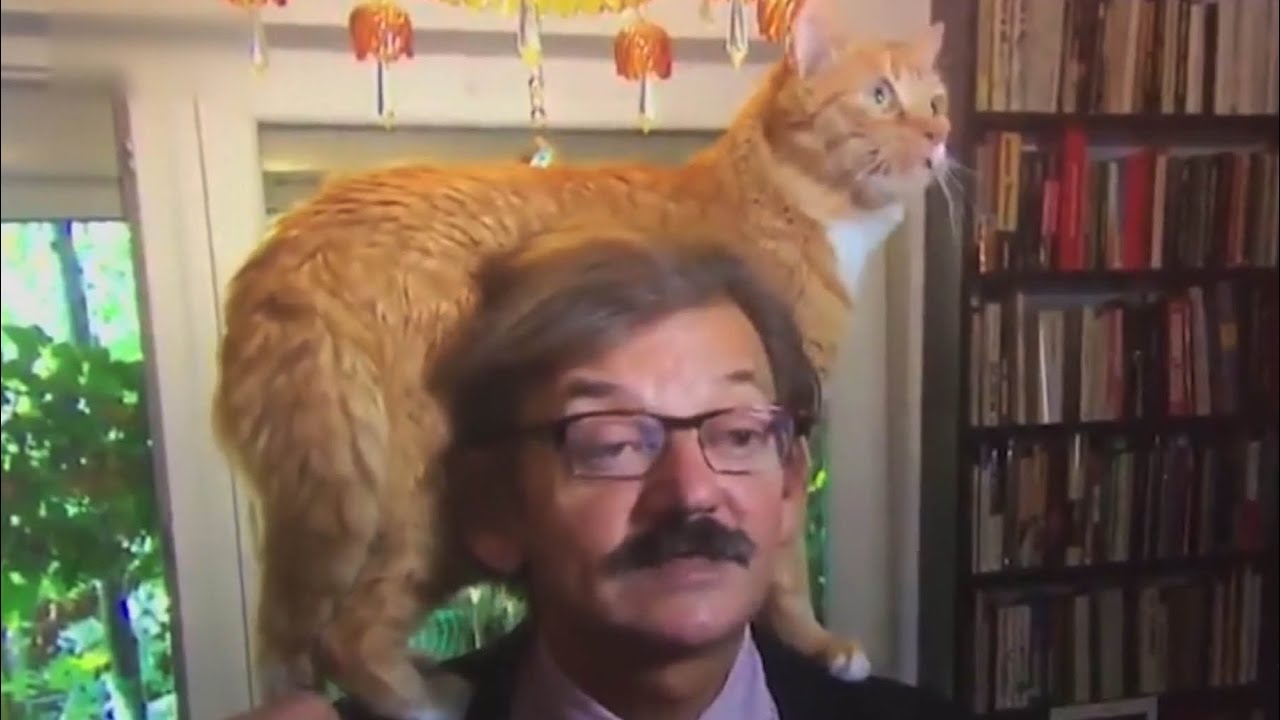 나라의 경제를 이야기하고 있는데 파리가 앉았습니다 - 나무위키