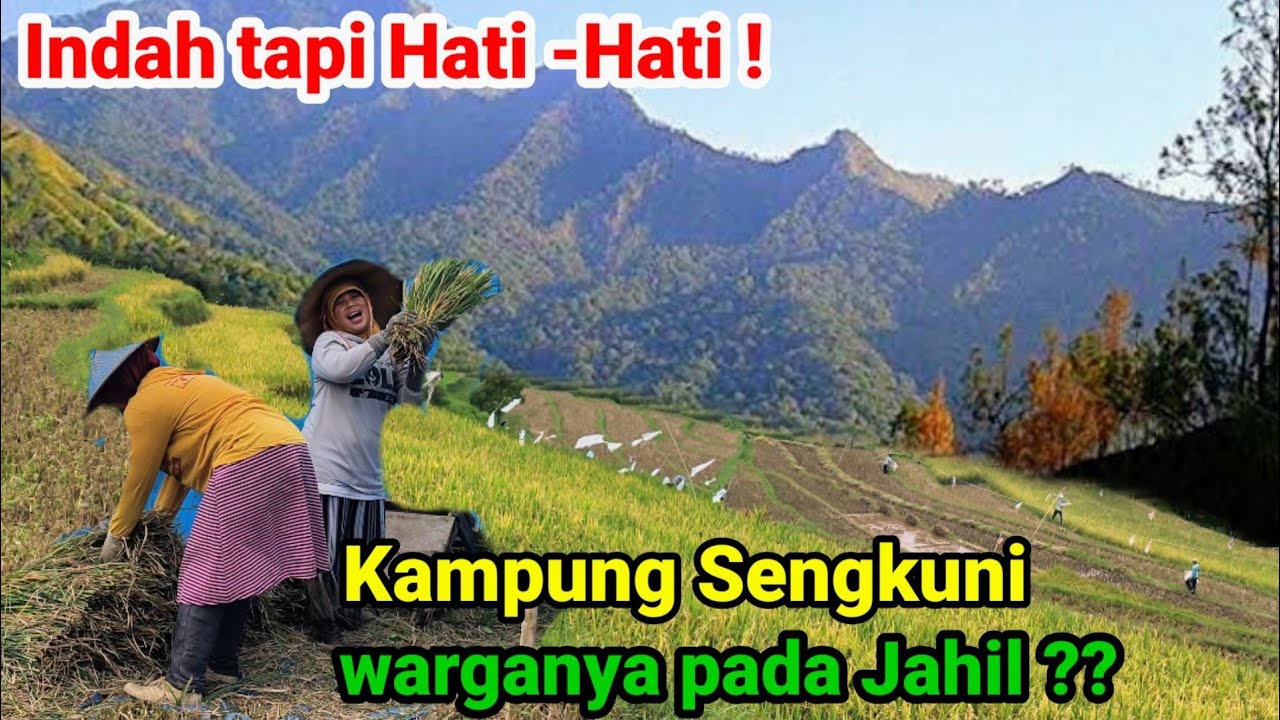 Kampung Sengkuni Nganjuk Tersembunyi di Gunung Wilis