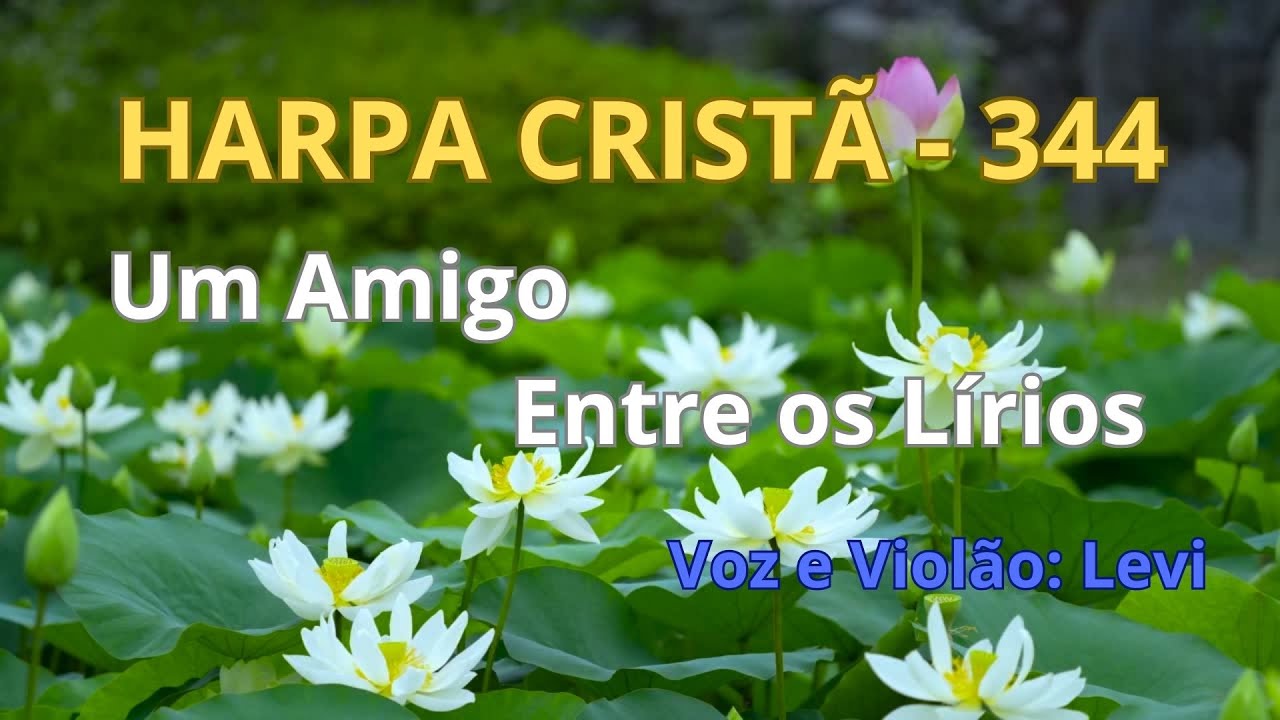 Harpa Cristã - 344 - Um Amigo Entre os Lírios - Levi - com letra - YouTube