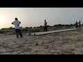 live cricket in desert