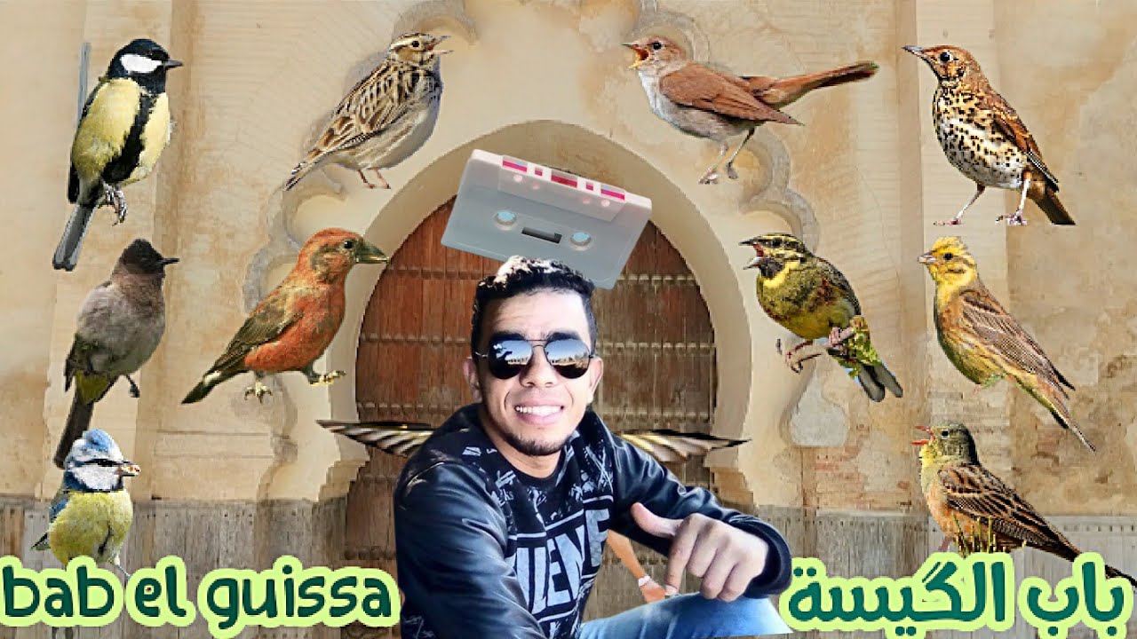 شريط  باب الگيسة . الحداد والبوح والولوال والبلبل والهزار   والحسنية لتعليم الفراخ