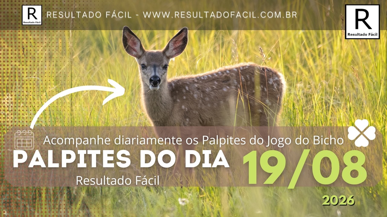 Palpites do dia Jogo do Bicho para o dia 19/08/2026