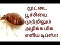 How to Kill Bed Bugs in Tamil | Moota poochi Olika Tips | மூட்டை பூச்சியை அழிக்க மிக எளிய டிப்ஸ்!!