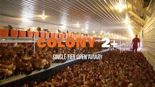 Colony 2+ Single-tier Aviary