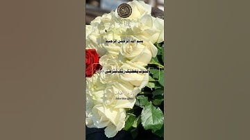 سورة الضحى بصوت جميل #تابعوني#دويتو#فولو #اكسبلورفولو #اكسبلور #لايك #قران_كريم #قرآن #متابعه #duet