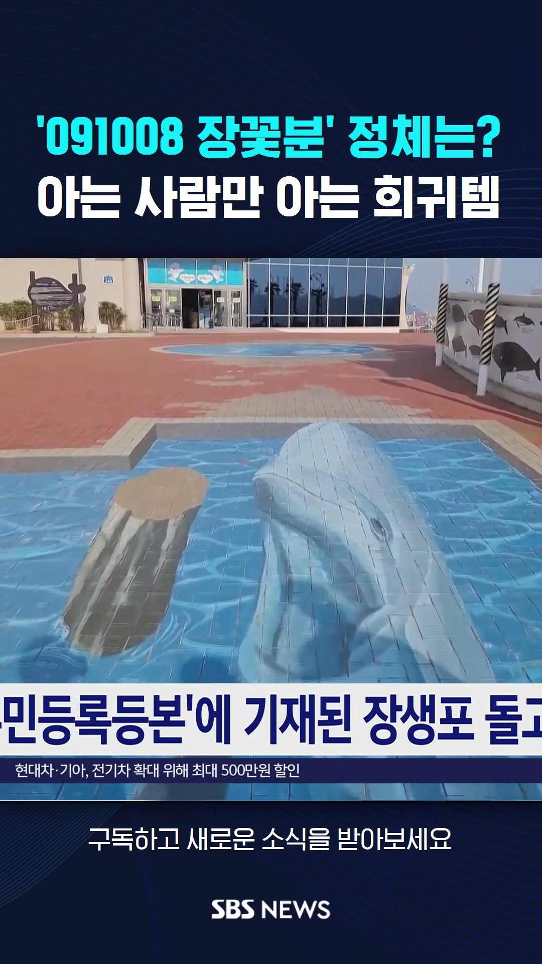 '091008 장꽃분' 정체는?…아는 사람만 아는 희귀템 #shorts
