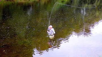 Tying a Long Hackled Dry Fly by Davie McPhail