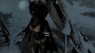 Как сделать любого Персонажа компаньоном Skyrim