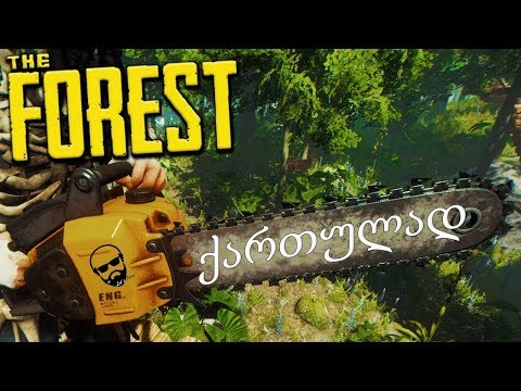 The Forest ანრისთან ერთად (სტრიმი)