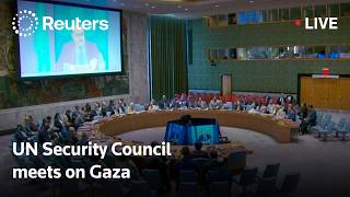 LIVE: UN Security Council meets on Gaza