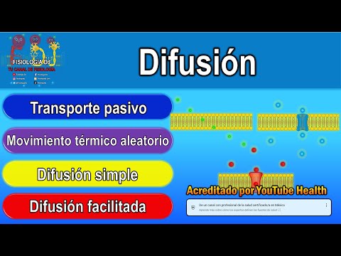 Vídeo: Diferencia Entre Difusión Simple Y Difusión Facilitada