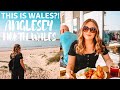 Day Trip To Anglesey, North Wales - Manchester to Wales