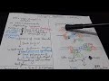 Eukaryotic Replication (Initiation)