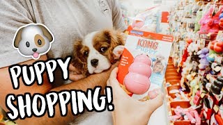 SHOPPING FOR OUR NEW PUPPY!!