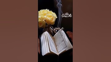 تلاوة خاشعة وآيات مباركات من سورة الأحزاب.📚/القارئ عمر الدريويز../حالات واتس أب دينية..💞