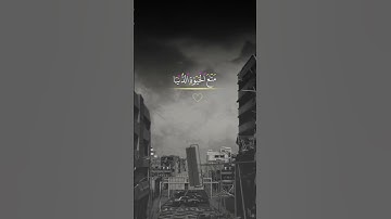 القارئ احمد الشافعي | قرآن كريم بصوت جميل