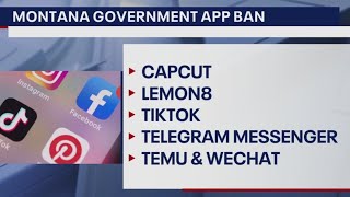 New bans raise concerns about America's addiction to Chinese apps screenshot 2