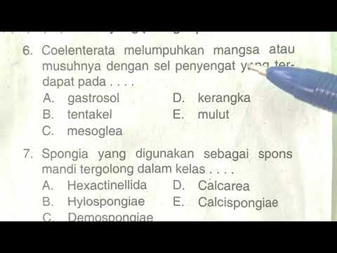 Video: Apa fungsi sel penyengat?