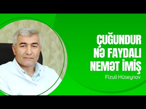 Çuğundur nə faydalı nemət imiş | Fizuli Hüseynov