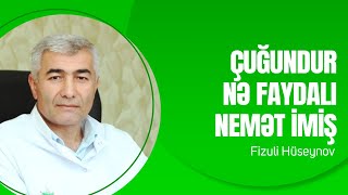 Çuğundur Nə Faydalı Nemət Imiş Fizuli Hüseynov